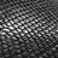 Best Donald Pliner RYLAND Black Snake